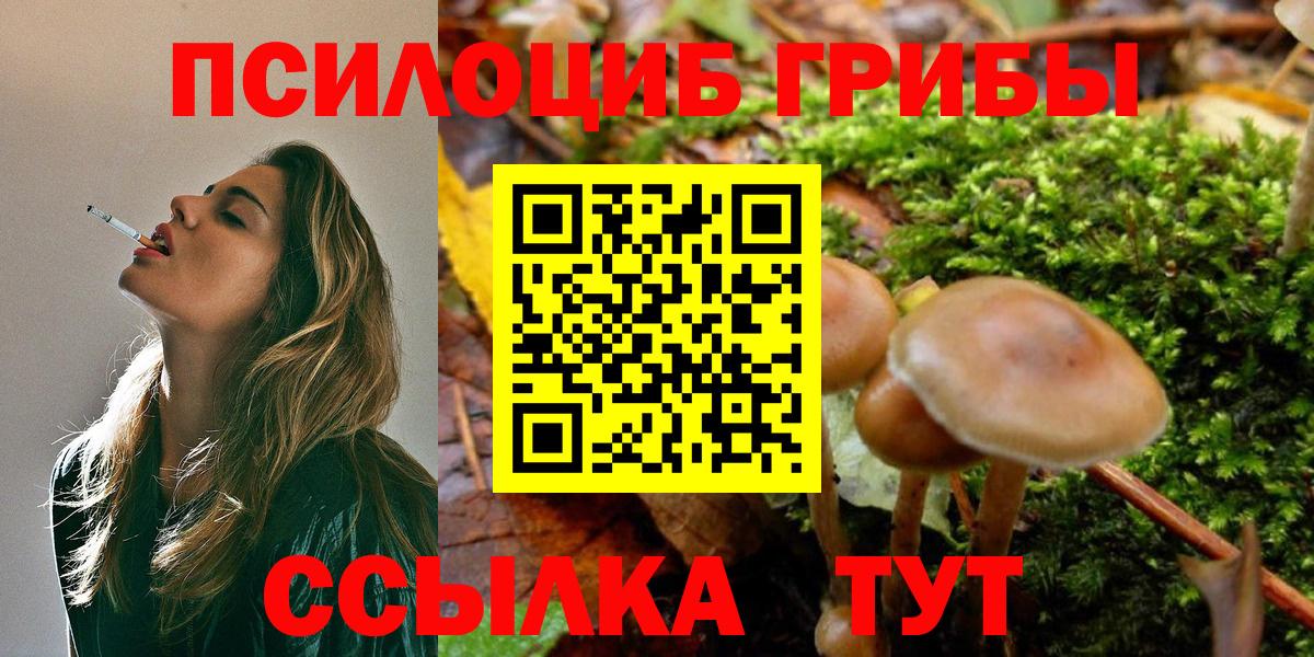 Псилоцибиновые грибы Cubensis Приморско-Ахтарск