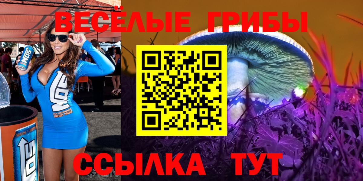 Псилоцибиновые грибы Cubensis  Галлюциногенные грибы Magic Shrooms  Приморско-Ахтарск  Вход с VPN 